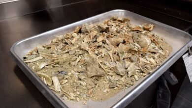 which part of the body does not burn during cremation