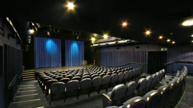 theatr mwldan
