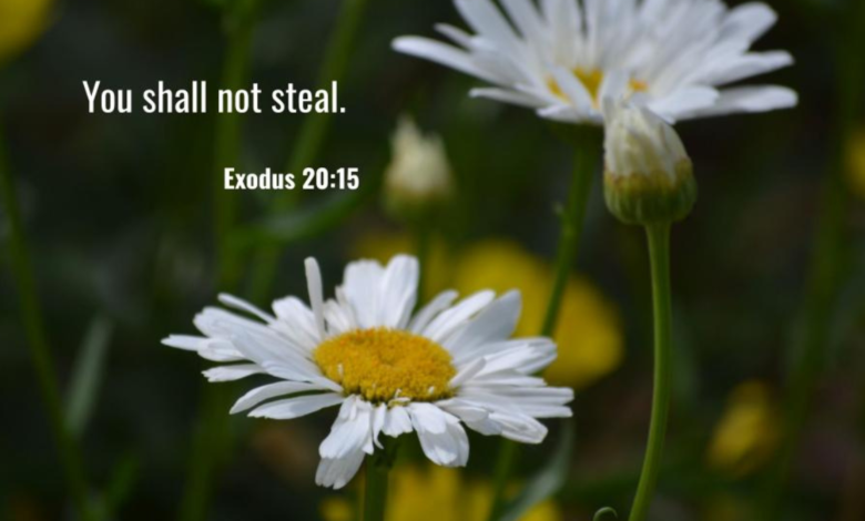 exodus 20:15