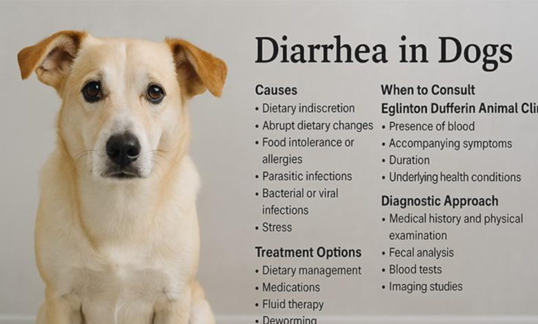why does my dog have diarrhea
